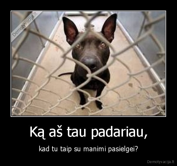 Ką aš tau padariau,