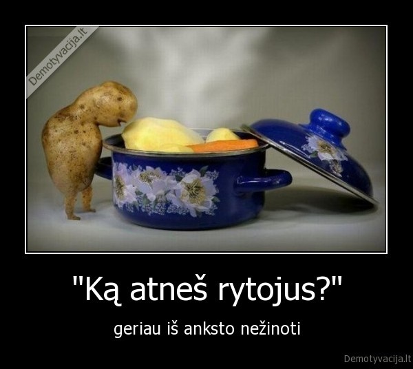 bulve,bulvinukas,virtos, bulves,ateitis