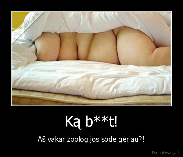 dramblys, lovoj,stora, moteris,gere