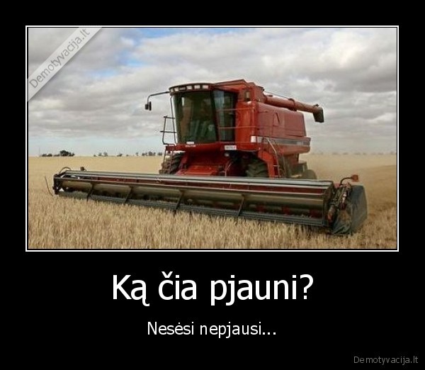 kombainas, javai, seti, pjauti