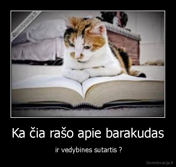 Ka čia rašo apie barakudas