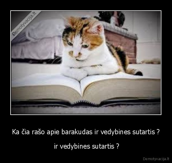 Ka čia rašo apie barakudas ir vedybines sutartis ?