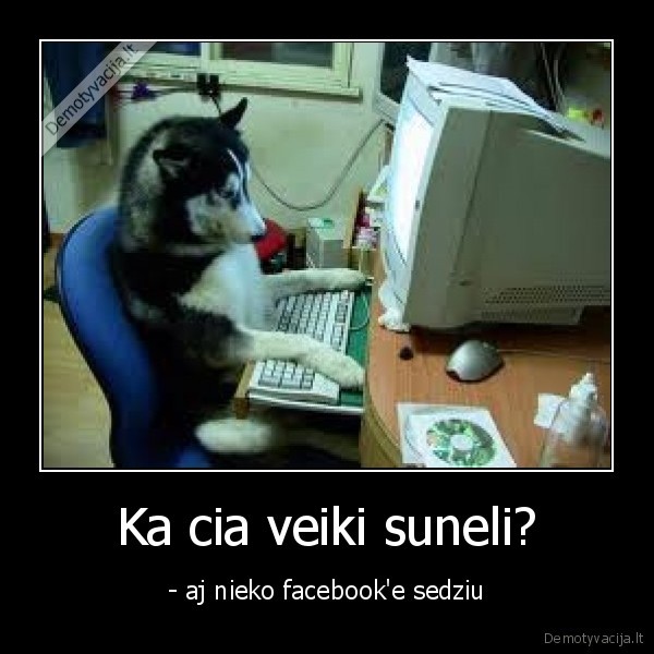 Ka cia veiki suneli?