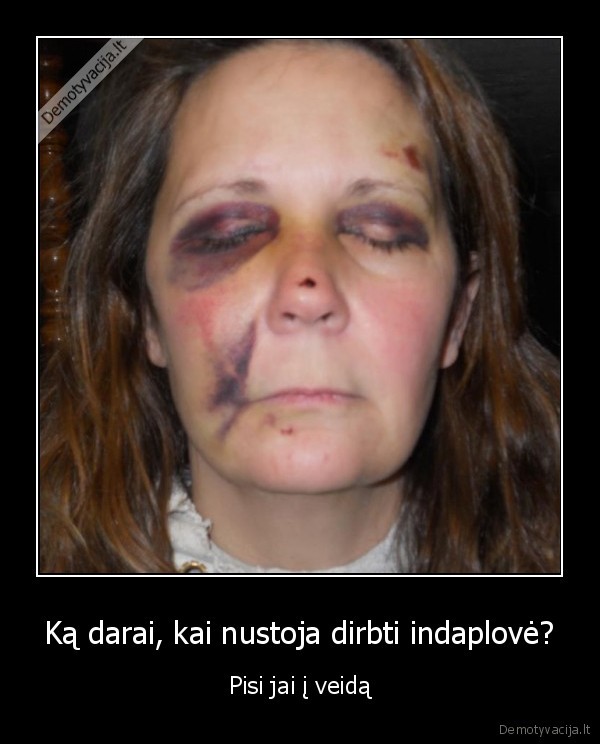 Ką darai, kai nustoja dirbti indaplovė?