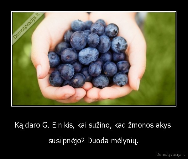 gintaras,einikis,melynes,zmona