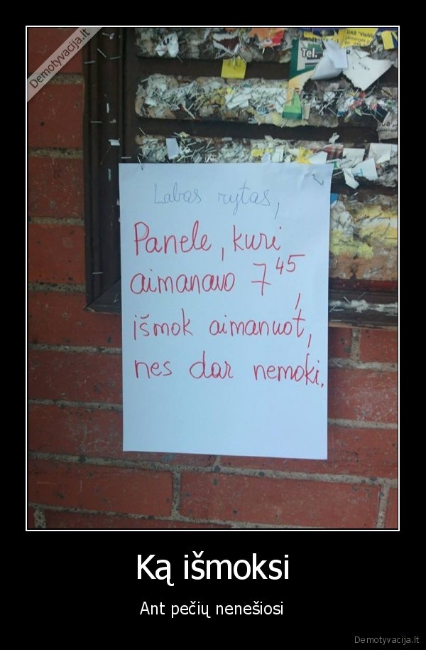 juokingas, skelbimas,merginos, aimanos