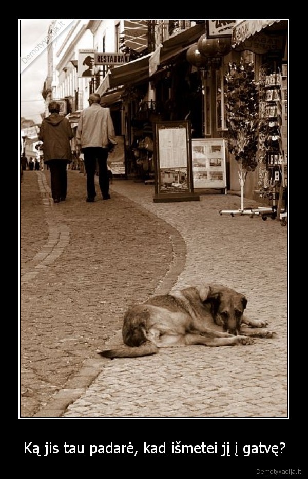 Ką jis tau padarė, kad išmetei jį į gatvę?