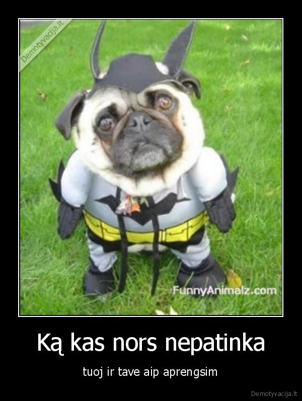 Ką kas nors nepatinka