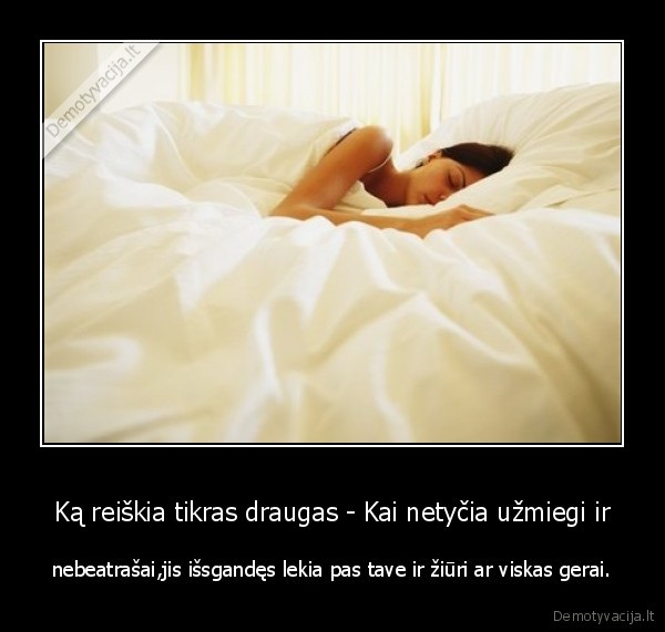 Ką reiškia tikras draugas - Kai netyčia užmiegi ir