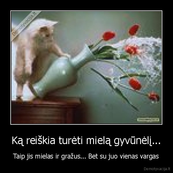 Ką reiškia turėti mielą gyvūnėlį...