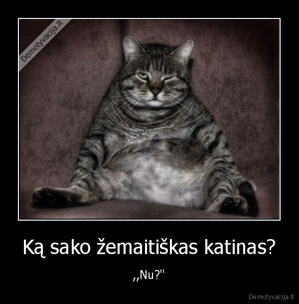 Ką sako žemaitiškas katinas?