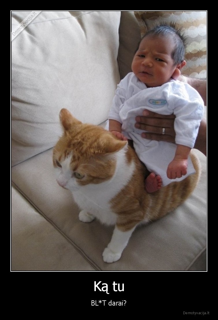 vaikas,katinas,ka,darai