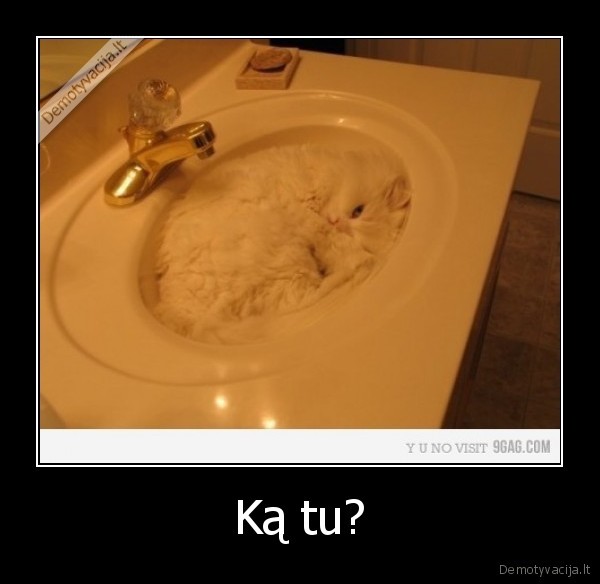 Ką tu?