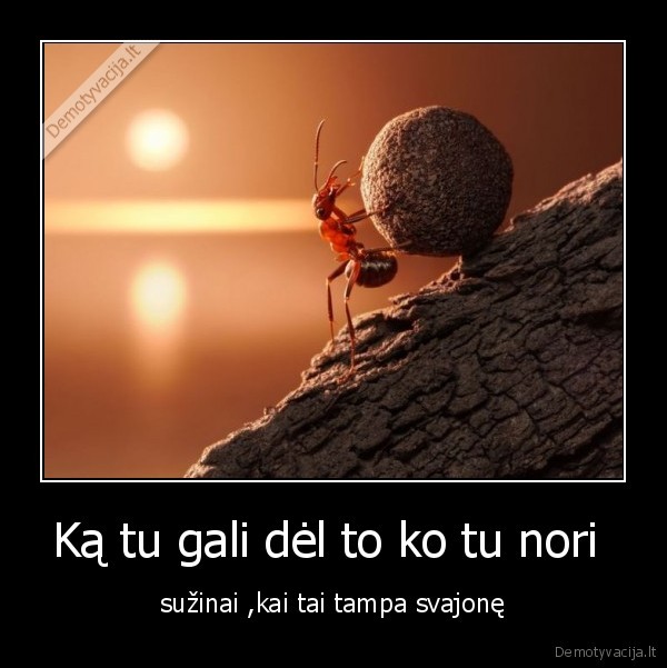 Ką tu gali dėl to ko tu nori 