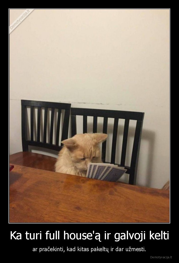 pokeris,kate,katinas,full, house