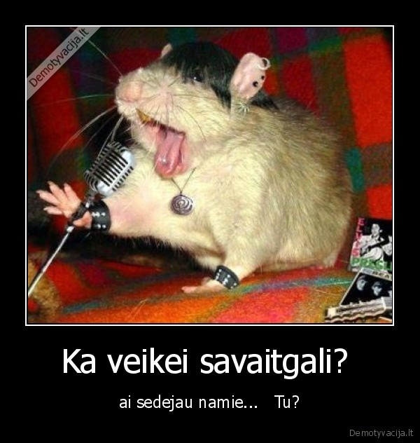 Ka veikei savaitgali? 