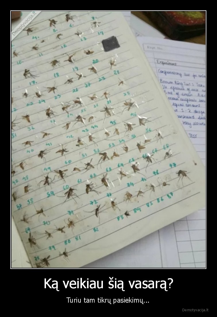 vasara,uodai,sasiuvinys,zudo