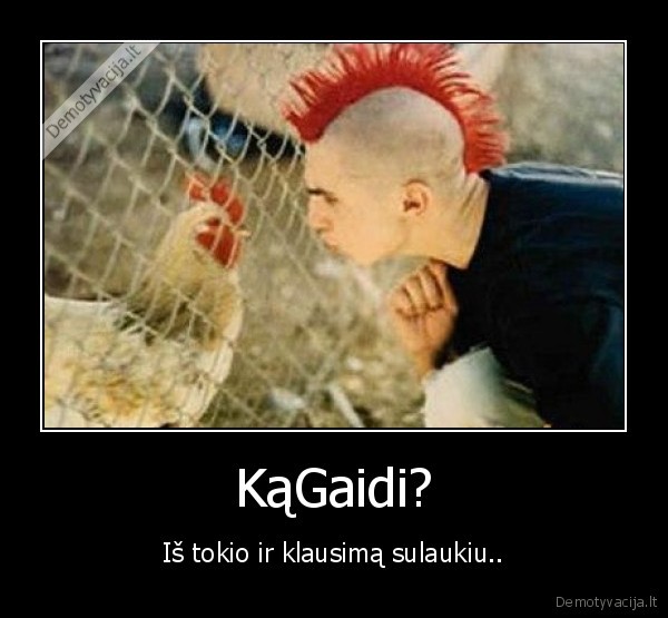 KąGaidi?