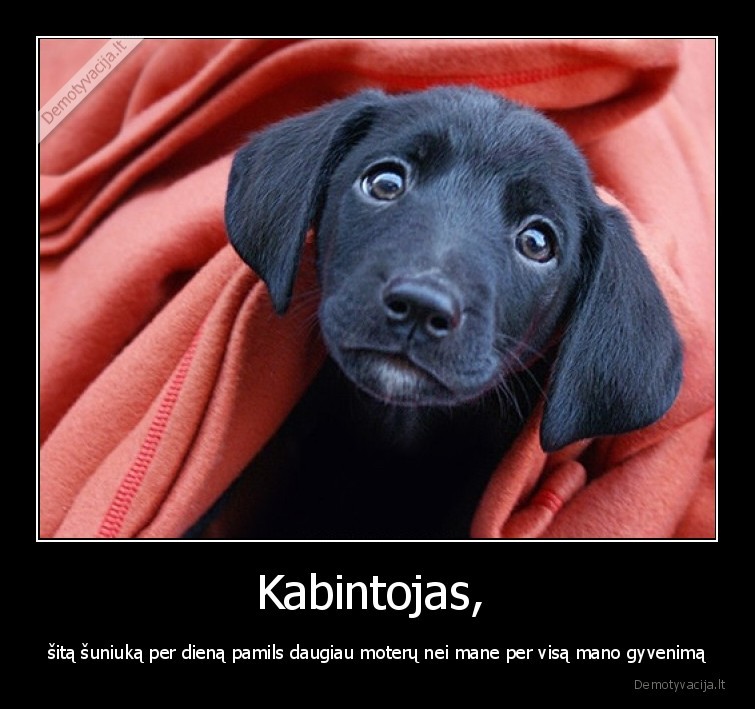 suniukas,kabintojas,kabina,pamils