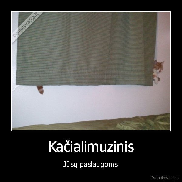 primeti, kebabas, is, tokio