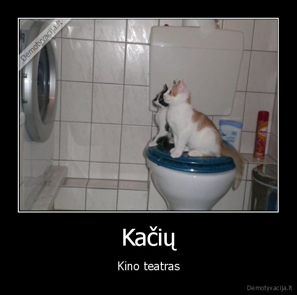 skalbimo, masina,skalbiasi,kates