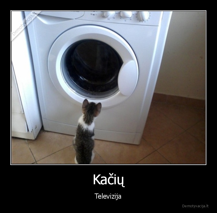 skalbimo, masina