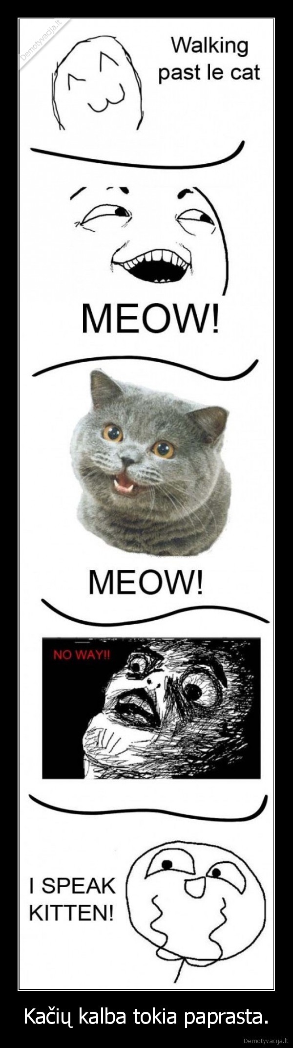 Kačių kalba tokia paprasta.