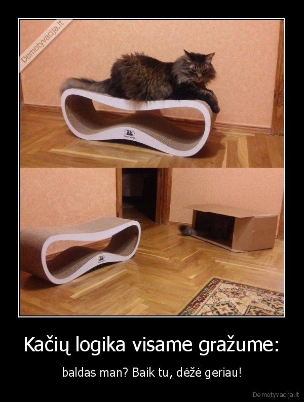 kate,katinas,baldas,logika