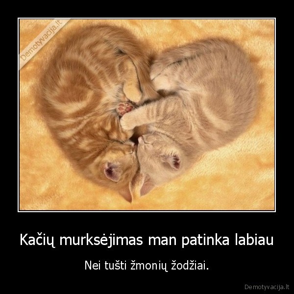 kates,murkseti,zmones