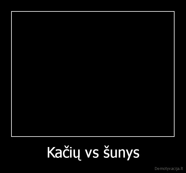 kaciu,sunys