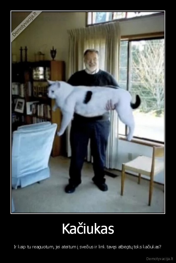 kaciukas,dramblys