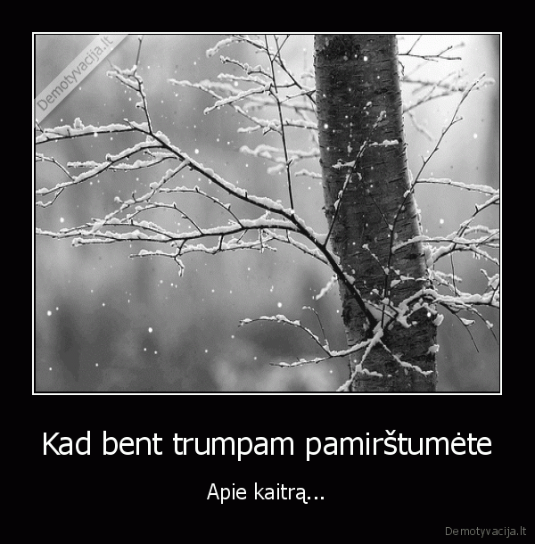 karsciai,sniegas,ramu