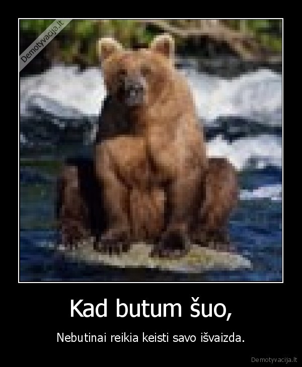 Kad butum šuo,