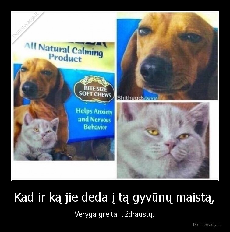 gyvunai,maistas,veryga