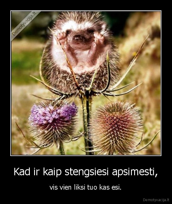 apsimetinejimas,esi, kas, esi