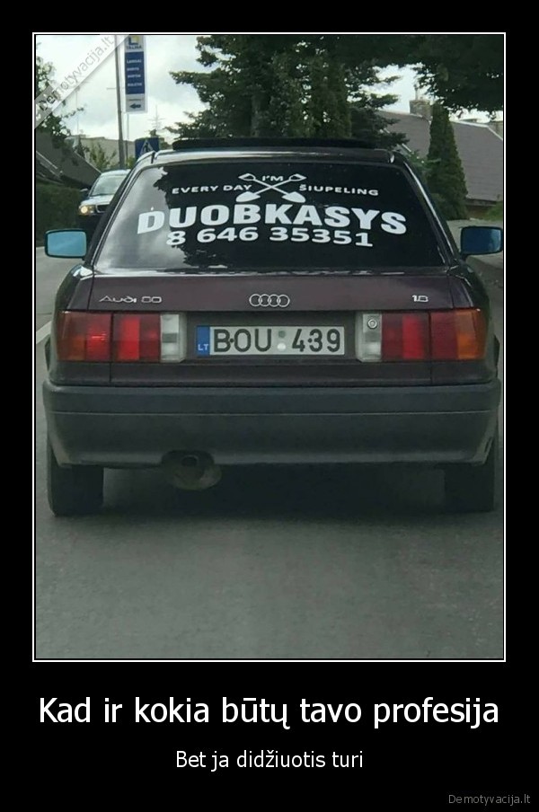 duobkasys,audi