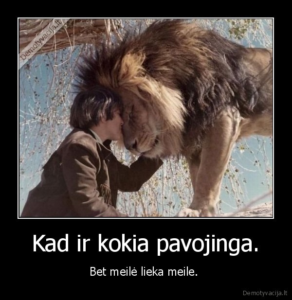 liutas, zmogus, meile, seksas