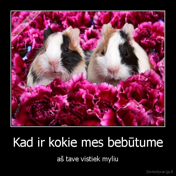 Kad ir kokie mes bebūtume