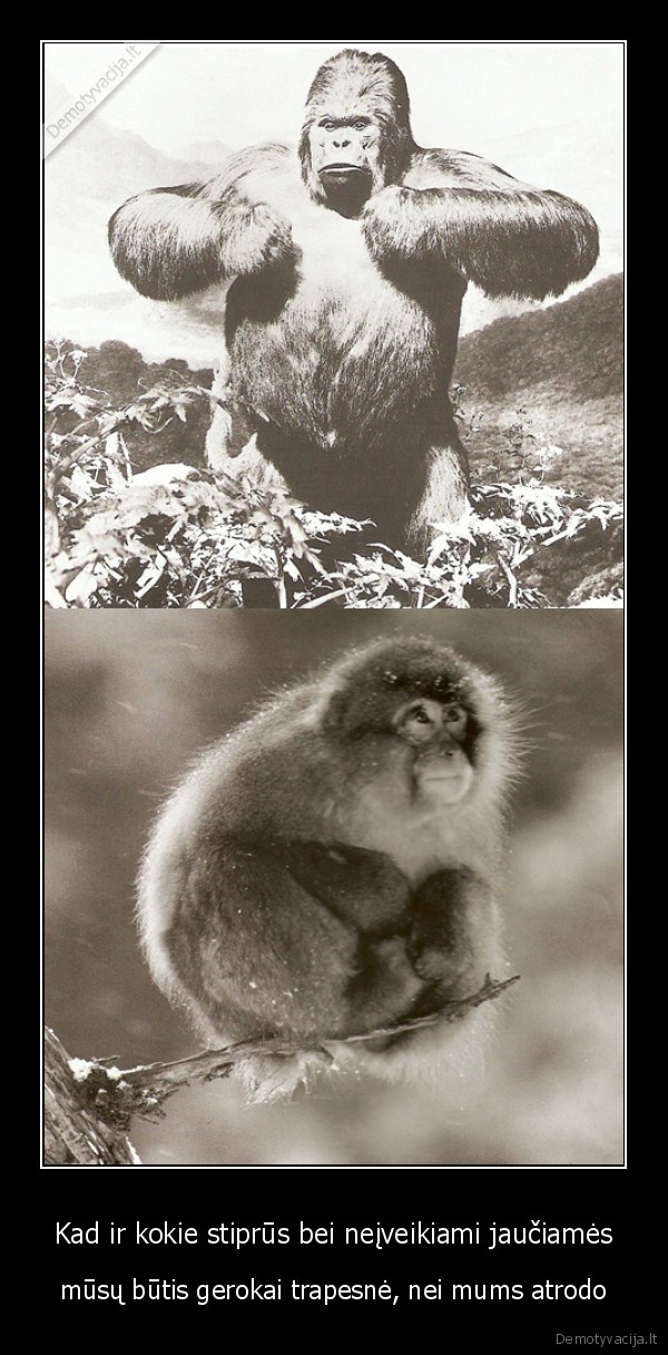 Kad ir kokie stiprūs bei neįveikiami jaučiamės