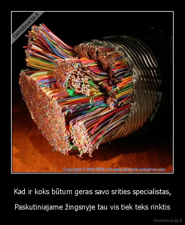 Kad ir koks būtum geras savo srities specialistas,