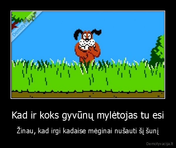 duck, hunt, zaidimas,senas, zaidimas,anciu, medziokle