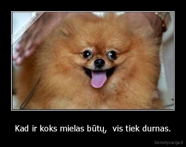 Kad ir koks mielas būtų,  vis tiek durnas.