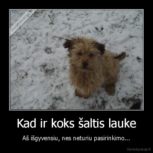 Kad ir koks šaltis lauke