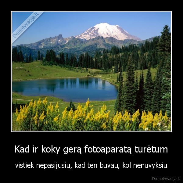 fotoaparatas,nuotrauka,gamta,in, real