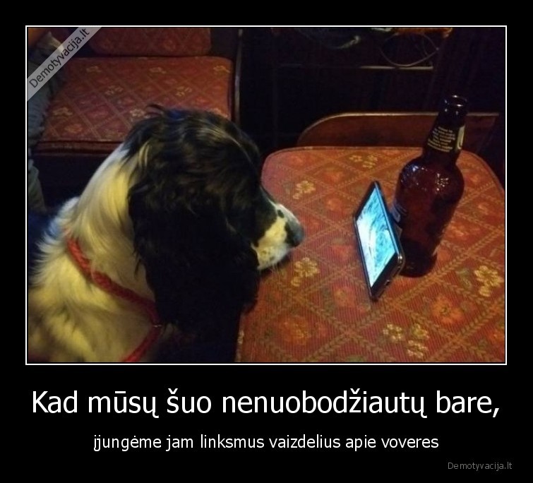 sunys,bare,voveres,vaizdeliai