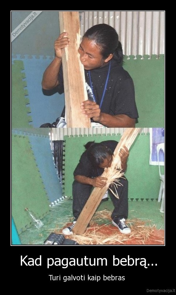 Kad pagautum bebrą...