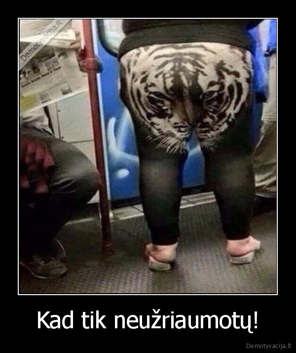 tigras,rrrr