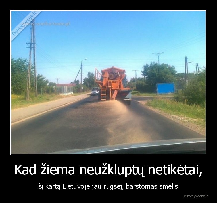 smelis,rugsejis,ziema,bek,is,kiemo,skema