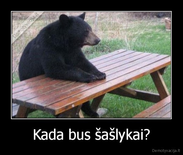 meska,saslykai,alus,tortas,pienas,miegoti,valgyti,ne,2,penkiolika