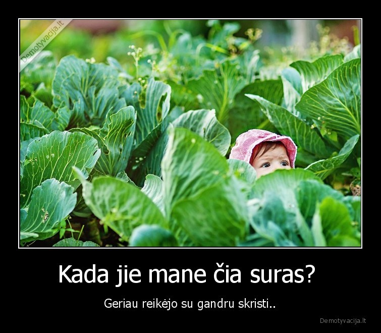 gandras,vaikas,kopustai,vaikas, kopustuose